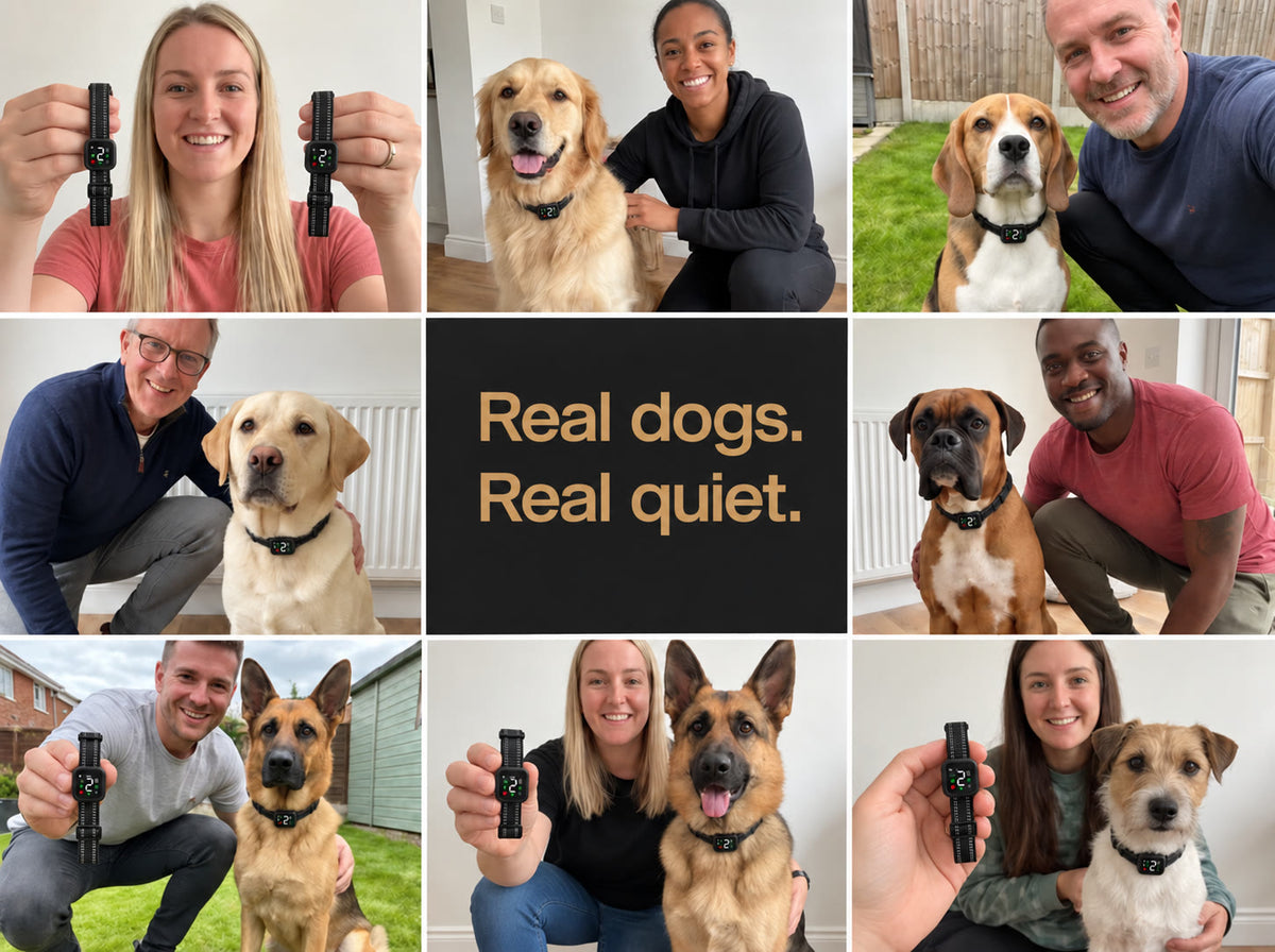Dogs and owners with the NooBark collar