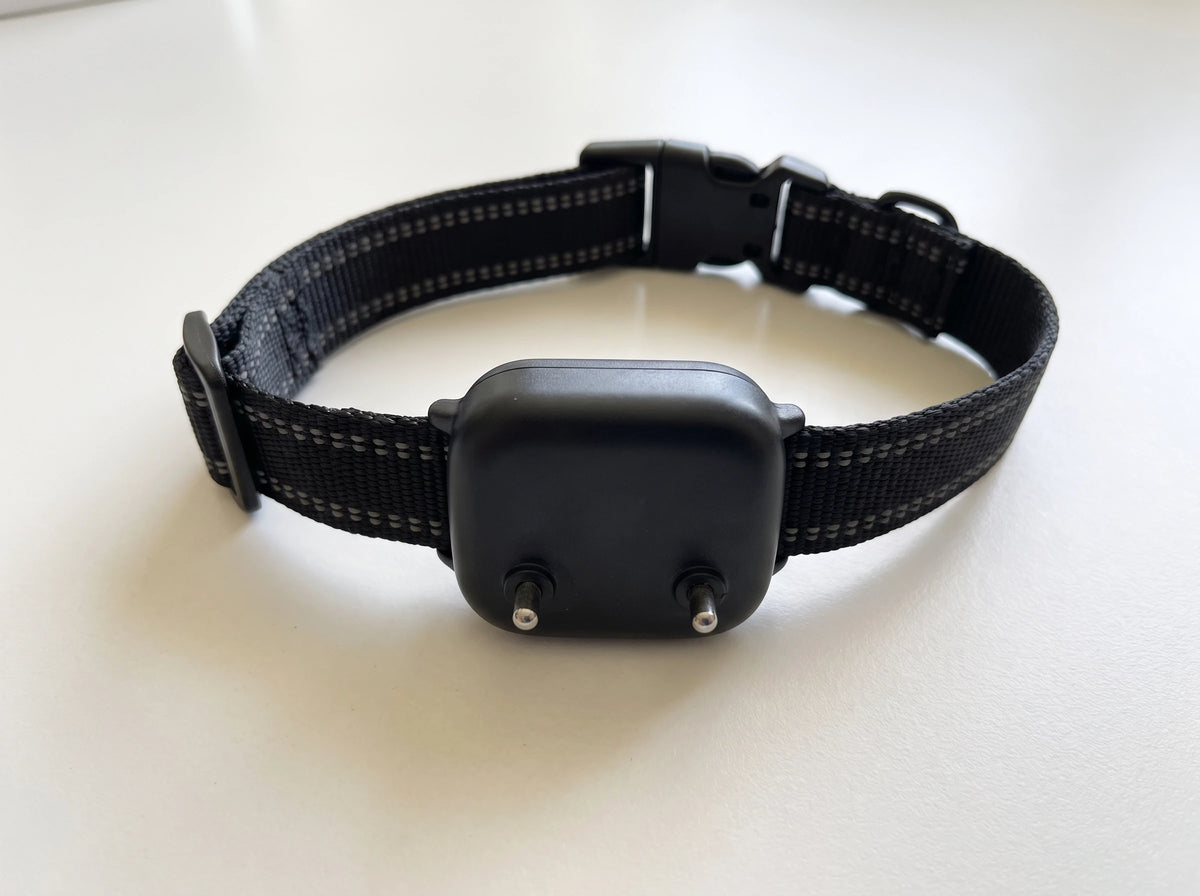 Underside of the NooBark Anti-Bark Collar module with two metal contact posts, on a black strap with side-release buckle